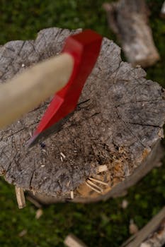 financial market scene