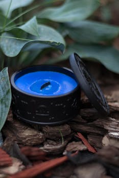 financial stability scene