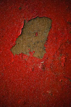 casino_bonus_suositus