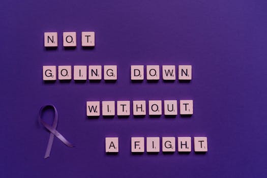 {bullet-laina_ehdot}