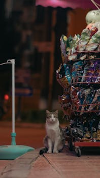 pexels-kin-studio-1157248