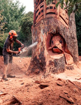 {responsible borrowing}