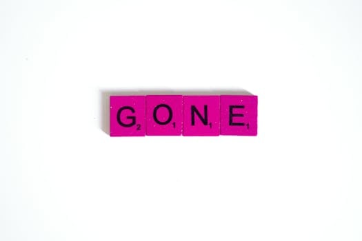 Yrityslainan Takaus: Perusteet, Edut Ja Hakuprosessi