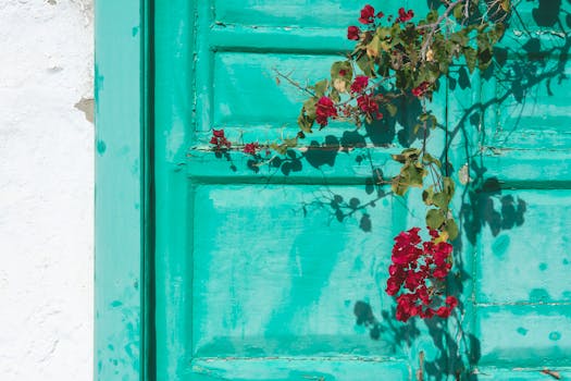 luxury airport lounge