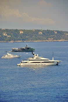 Ilmainen S-etukortti: Opas Ja Vinkit Sen Hankkimiseen