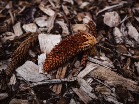 {stock_photo_of_financial_documents}