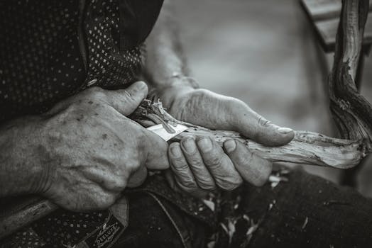 {money_transfer_pexels}