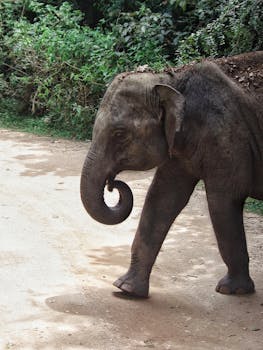 business negotiation and legal agreement