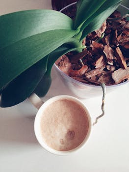 online_slot_machines