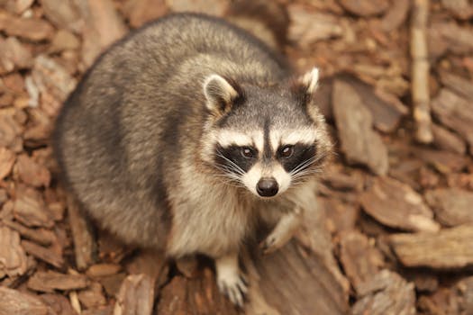 {financial-goals-planning}