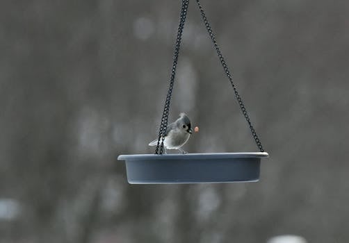 classic-slot-machine