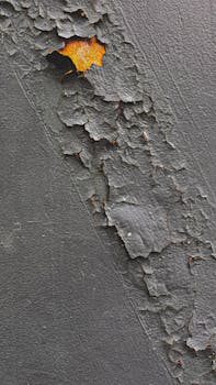 pexels-privacy-987654