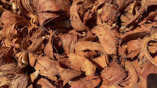 {visual_scene_of_financial_planning}