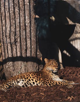 person setting limits on smartphone