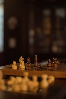 Op Uusi Kortti: Ohjeet, Tilaus Ja Käyttövinkit