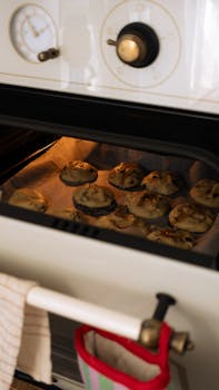 Opintolaina: Vaihtoehdot Prime- Ja Euribor-koroille