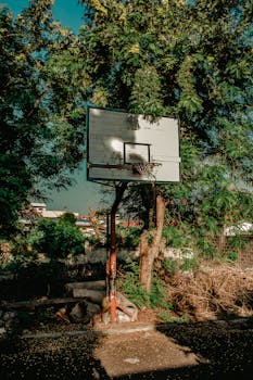 {financial-advice-desk}