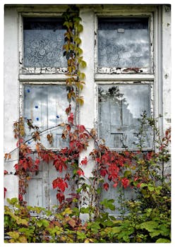 Ray Nettikasino Mac: Täydellinen Opas Suomalaisille Pelaajille