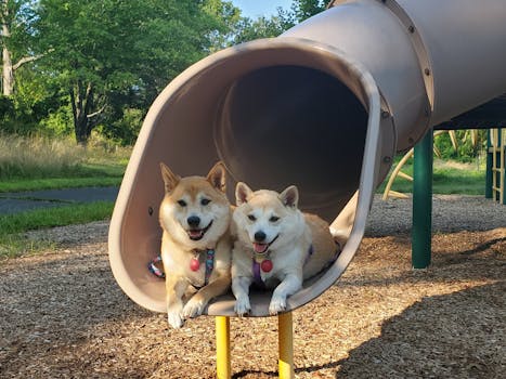 {financial-planning-for-asp}