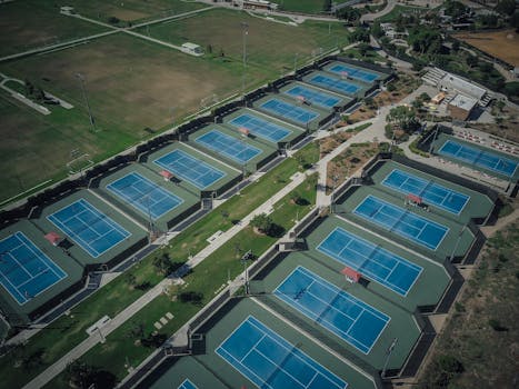 {visual_scene_responsible_borrowing}