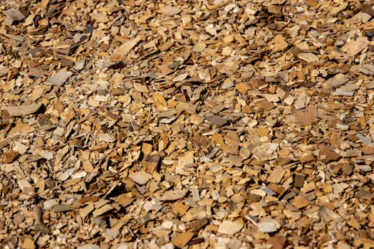 future trend analysis