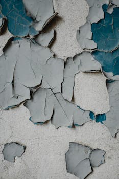 pexels-office-1231556