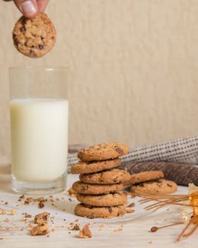 {visual_scene_of_repayment_plan}