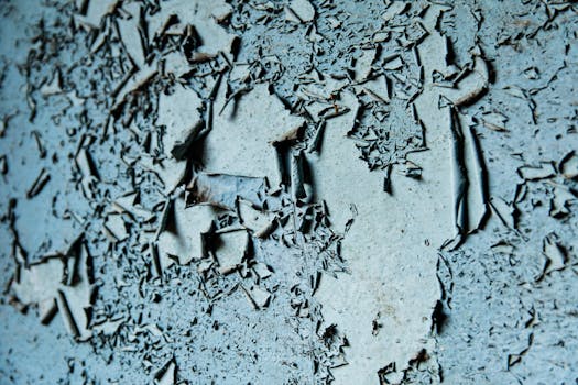 {bonuspisteiden hallinta}