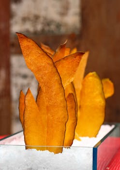 risk management strategies