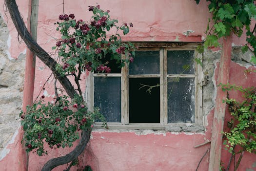 casino bonus leovegas