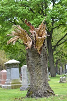 sijoitusasunto laina marginaali vaikuttavuus