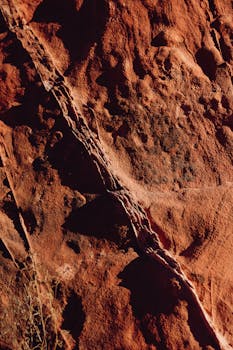 {financial-decision-making}