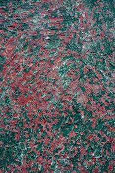 {financial-documents-pexels}