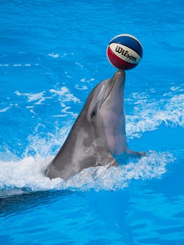 {visual_scene_of_money_transfer}