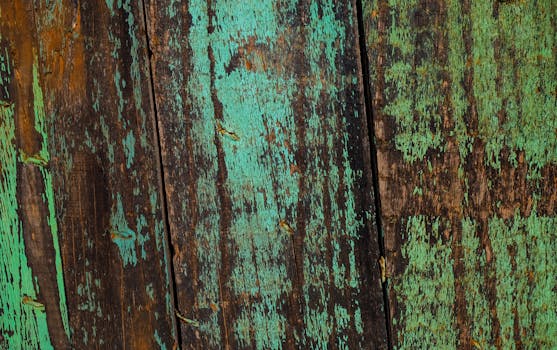 pexels-security-987654