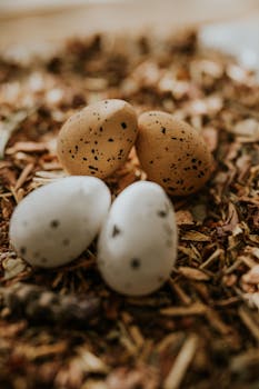 k plussa luottokortti concept