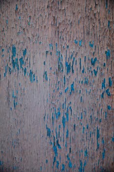 assorted_housing_doorway