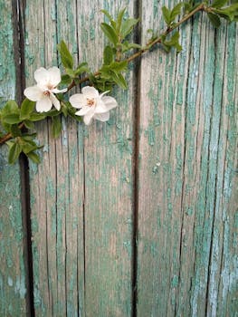 pexels-money-management