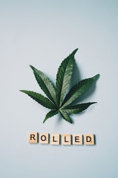 {op_asuntolaina_vakuudet}