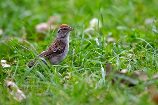 {financial negotiations}