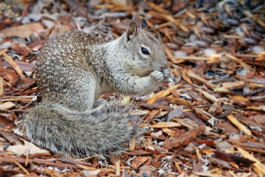 mobile banking app on phone