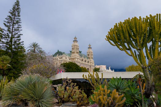 {k plussa luottokortti vertailu}