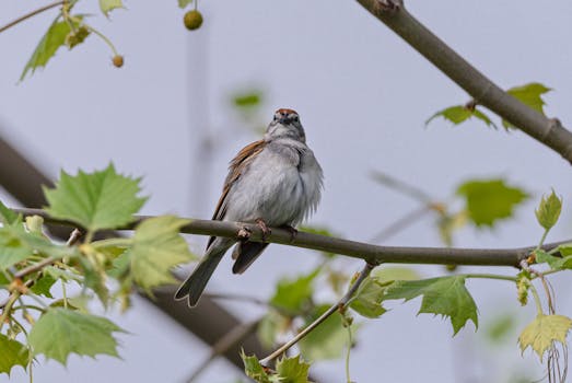 regulatory compliance document