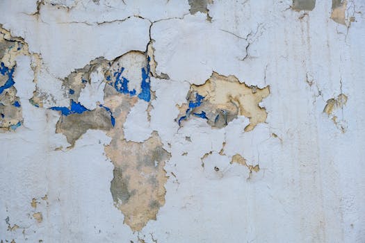 pexels-security-987654