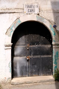 financial-risk-management-pexels