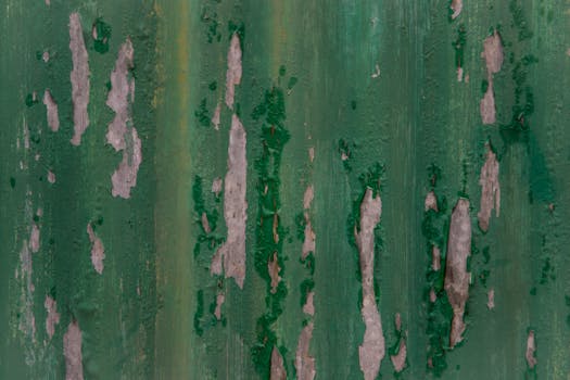 Lainalaskuri Ja Lainan Yleiskatsaus: Nordea Lainalaskin