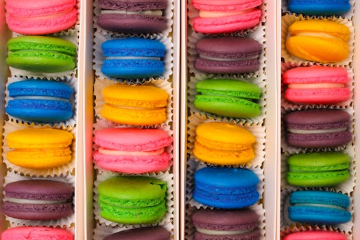 Netticasino Ray Romano: Pelaaminen Ja Viihde Suomalaisilla Kasinoilla