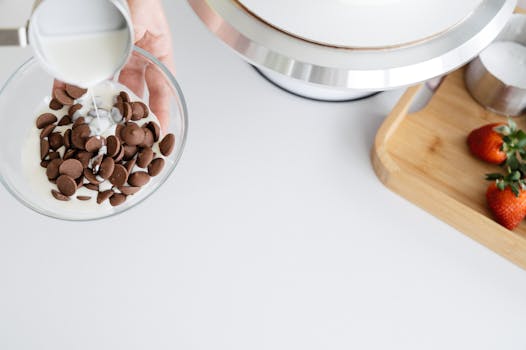 sports fans celebrating