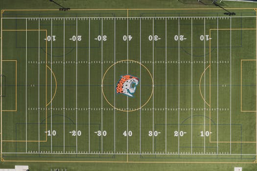 financial comparison