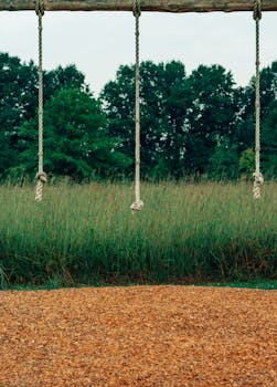 financial responsibility concept